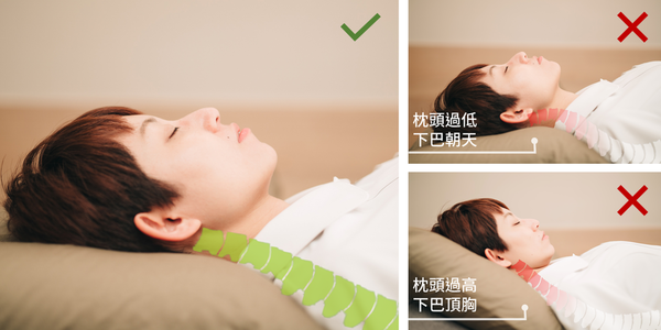 图3:两个枕头的正确摆放示范 肩颈腰背或腿部酸胀怎麼办?