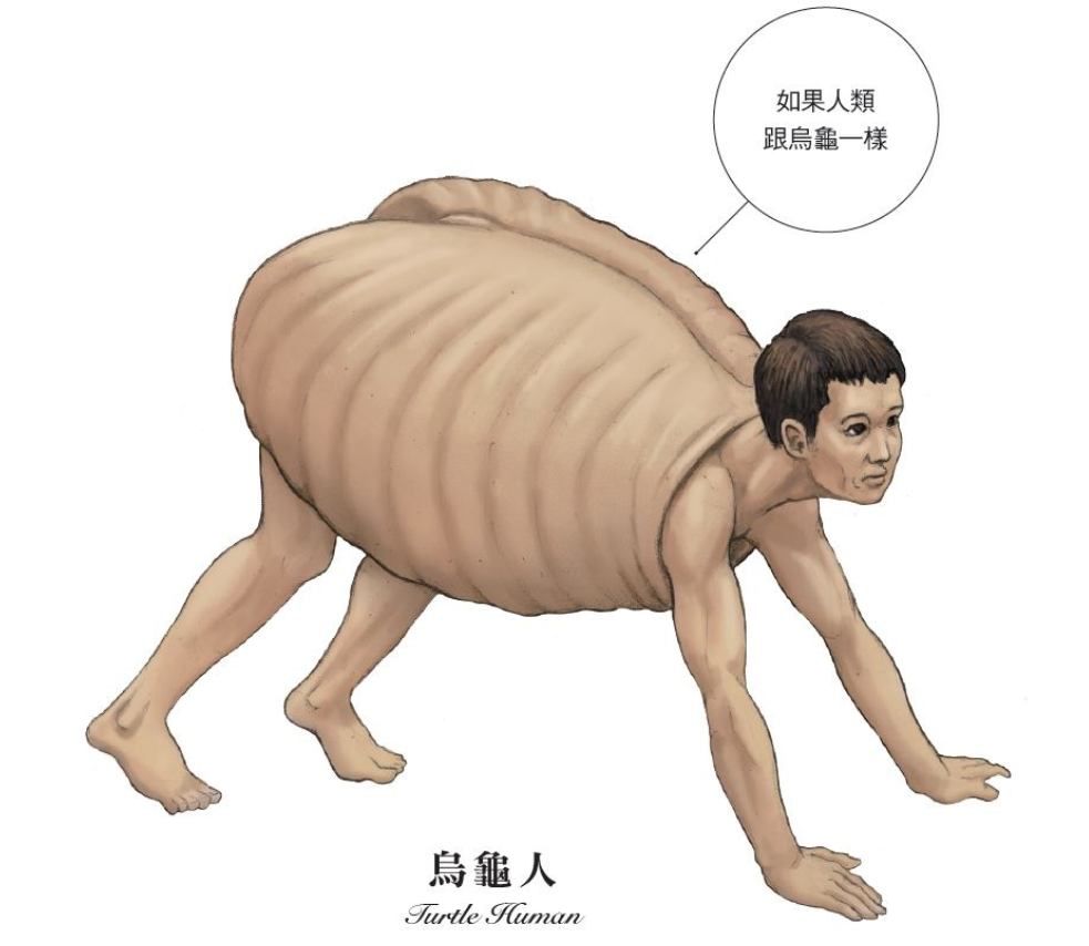 86+ 图片 烏龜 新的 10 超獵奇!如果人變成烏龜—其實烏龜的殼是肋骨脫不下來::專欄推薦-三采文化