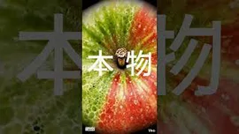 為韓國文壇選擇一個關鍵字，難道不是《本物》嗎？