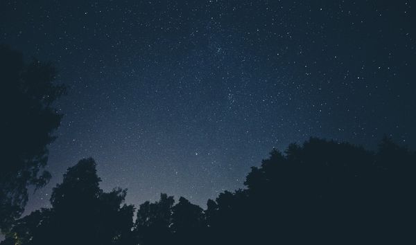 sky-night-space-trees-large.jpeg