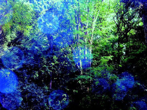 主圖:樹林精靈.jpg 主圖:樹林精靈.jpg