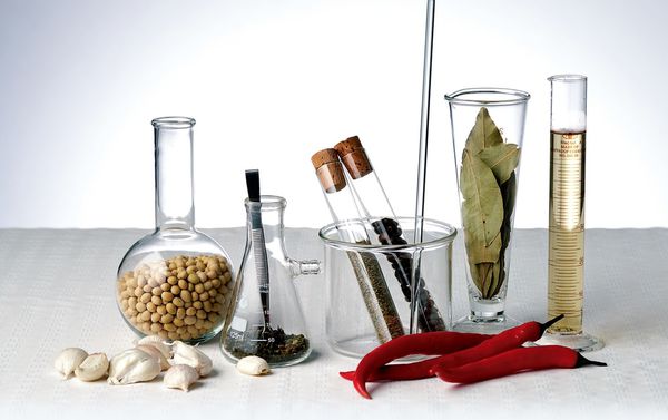 美味科學.jpg 美味科學.jpg