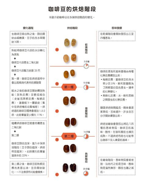 咖啡豆的烘焙階段-1.jpg