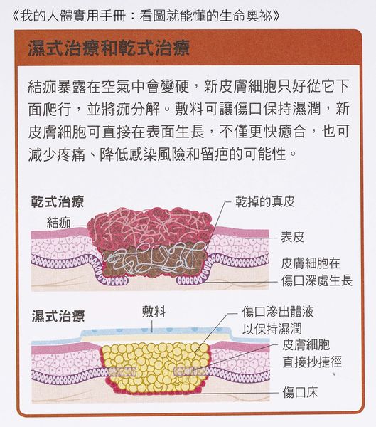 「IMG_8943」.jpg 「IMG_8943」.jpg