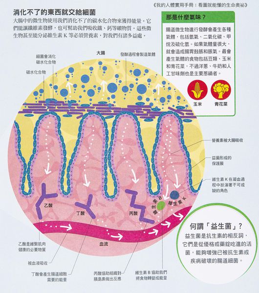 「IMG_8948」.jpg 「IMG_8948」.jpg