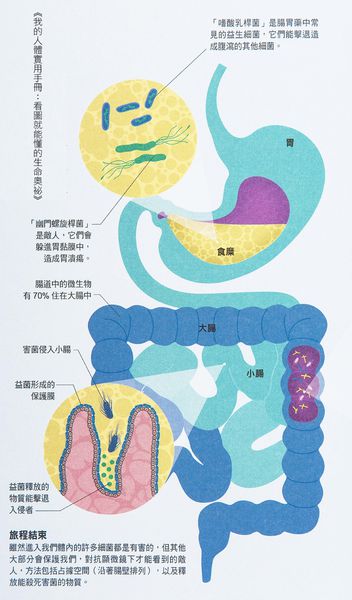「IMG_8947」.jpg 「IMG_8947」.jpg