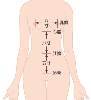 全身正面-無骨.jpg